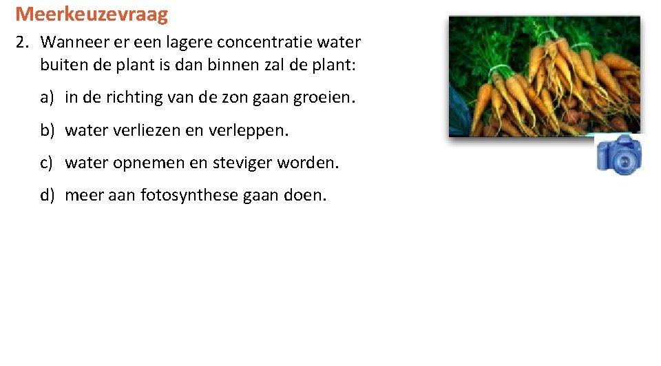 Meerkeuzevraag 2. Wanneer er een lagere concentratie water buiten de plant is dan binnen