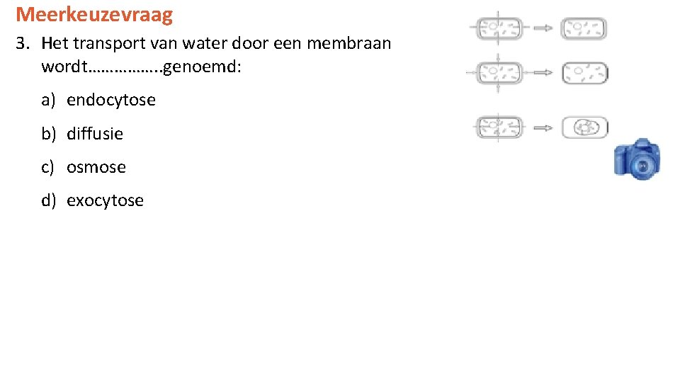 Meerkeuzevraag 3. Het transport van water door een membraan wordt……………. . genoemd: a) endocytose