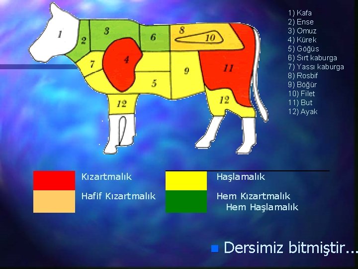 1) Kafa 2) Ense 3) Omuz 4) Kürek 5) Göğüs 6) Sırt kaburga 7)