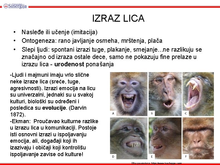 IZRAZ LICA • Nasleđe ili učenje (imitacija) • Ontogeneza: rano javljanje osmeha, mrštenja, plača