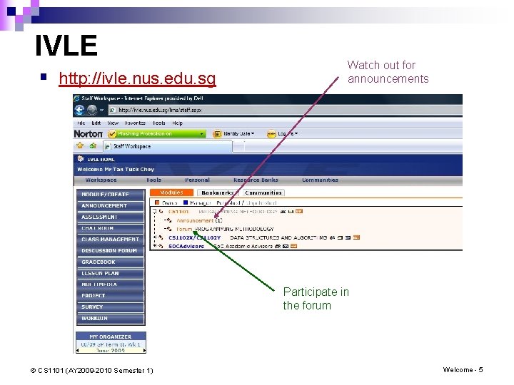 IVLE § http: //ivle. nus. edu. sg Watch out for announcements Participate in the IVLE § http: //ivle. nus. edu. sg Watch out for announcements Participate in the