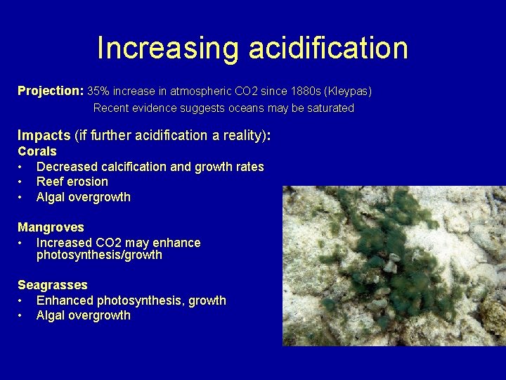 Increasing acidification Projection: 35% increase in atmospheric CO 2 since 1880 s (Kleypas) Recent