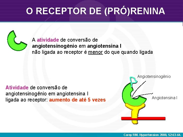 O RECEPTOR DE (PRÓ)RENINA A atividade de conversão de angiotensinogênio em angiotensina I não