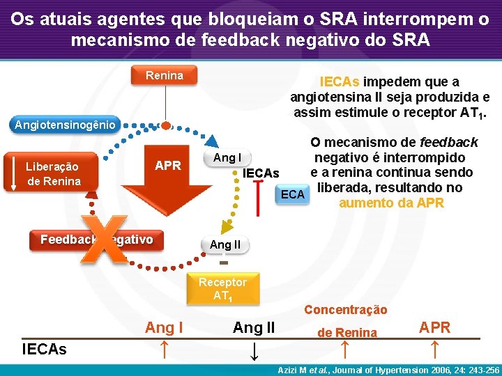 Os atuais agentes que bloqueiam o SRA interrompem o mecanismo de feedback negativo do