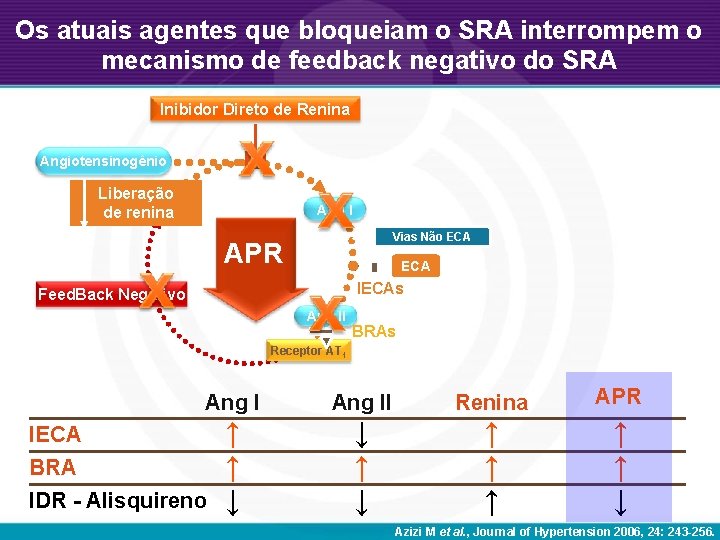 Os atuais agentes que bloqueiam o SRA interrompem o mecanismo de feedback negativo do