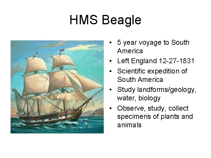 HMS Beagle • 5 year voyage to South America • Left England 12 -27