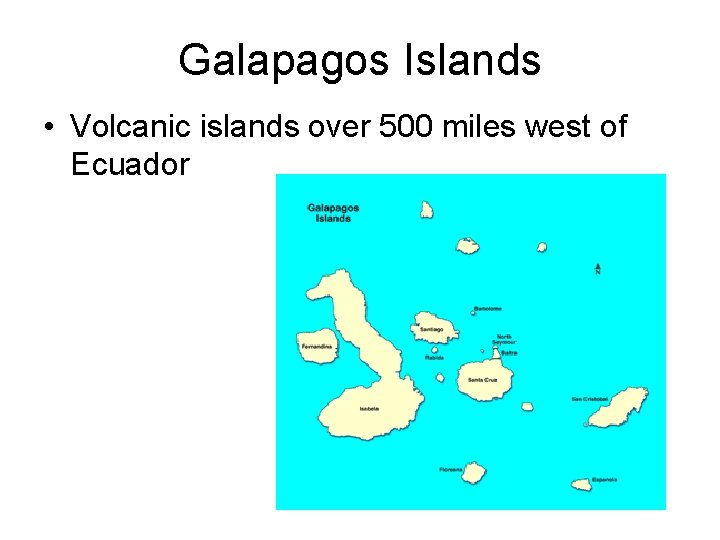 Galapagos Islands • Volcanic islands over 500 miles west of Ecuador 