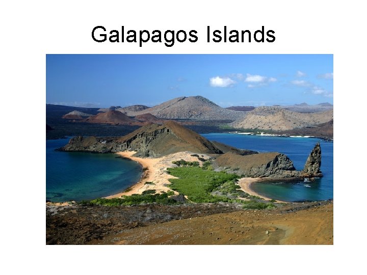 Galapagos Islands 