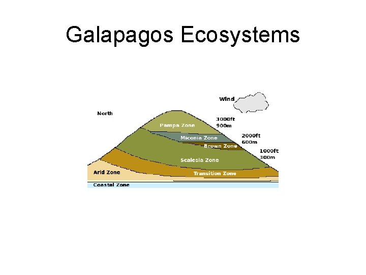 Galapagos Ecosystems 