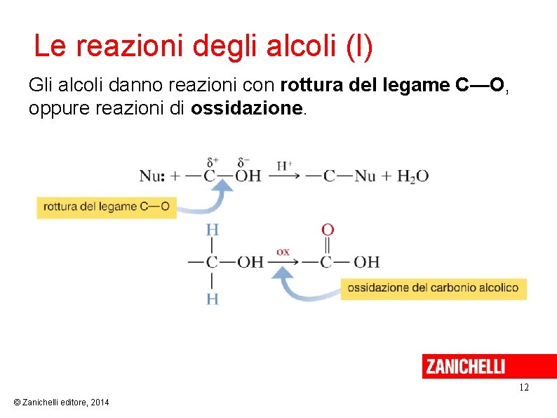 Le reazioni degli alcoli (I) Gli alcoli danno reazioni con rottura del legame C—O,