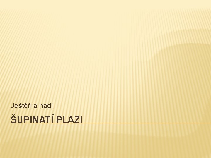 Ještěři a hadi ŠUPINATÍ PLAZI 