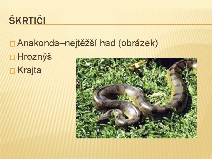ŠKRTIČI � Anakonda–nejtěžší � Hroznýš � Krajta had (obrázek) 