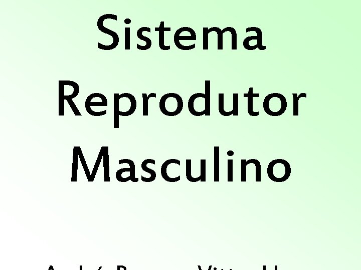 Sistema Reprodutor Masculino Sistema Reprodutor Masculino