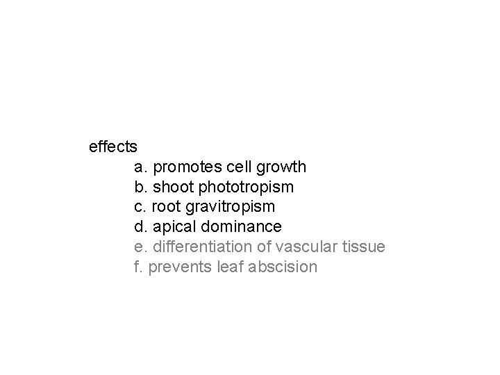 effects a. promotes cell growth b. shoot phototropism c. root gravitropism d. apical dominance