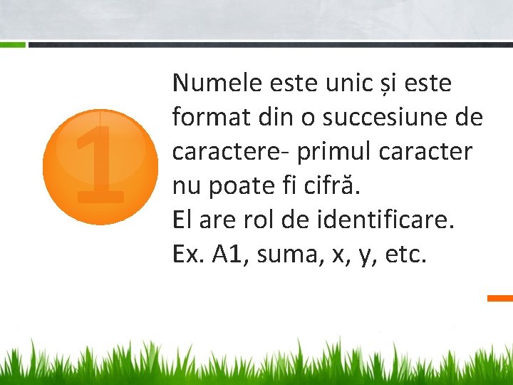 1 Numele este unic și este format din o succesiune de caractere- primul caracter 1 Numele este unic și este format din o succesiune de caractere- primul caracter