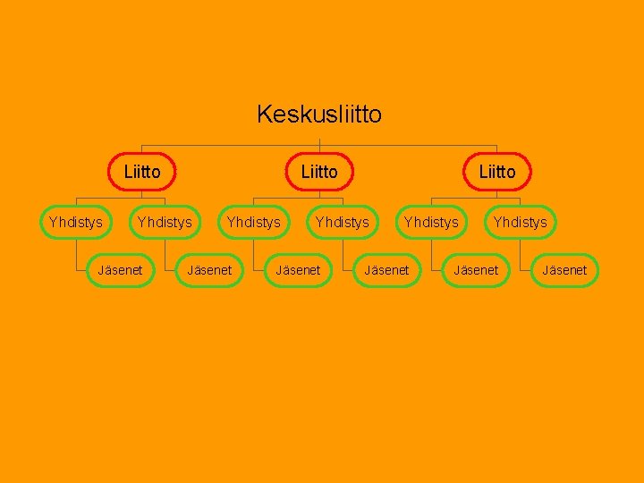 Keskusliitto Liitto Yhdistys Jäsenet Yhdistys Jäsenet 