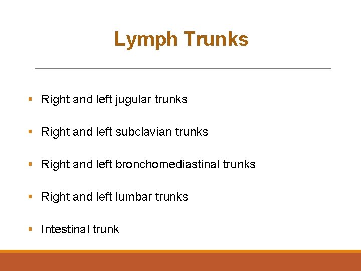 Lymph Trunks § Right and left jugular trunks § Right and left subclavian trunks