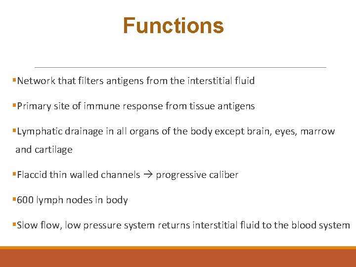 Functions §Network that filters antigens from the interstitial fluid §Primary site of immune response