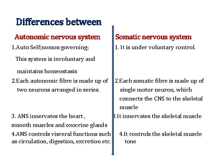 Differences between Autonomic nervous system 1. Auto: Self; nomos: governing; Somatic nervous system 1.