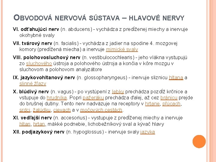 OBVODOVÁ NERVOVÁ SÚSTAVA – HLAVOVÉ NERVY VI. odťahujúci nerv (n. abducens) - vychádza z