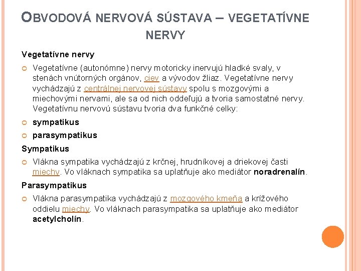 OBVODOVÁ NERVOVÁ SÚSTAVA – VEGETATÍVNE NERVY Vegetatívne nervy Vegetatívne (autonómne) nervy motoricky inervujú hladké