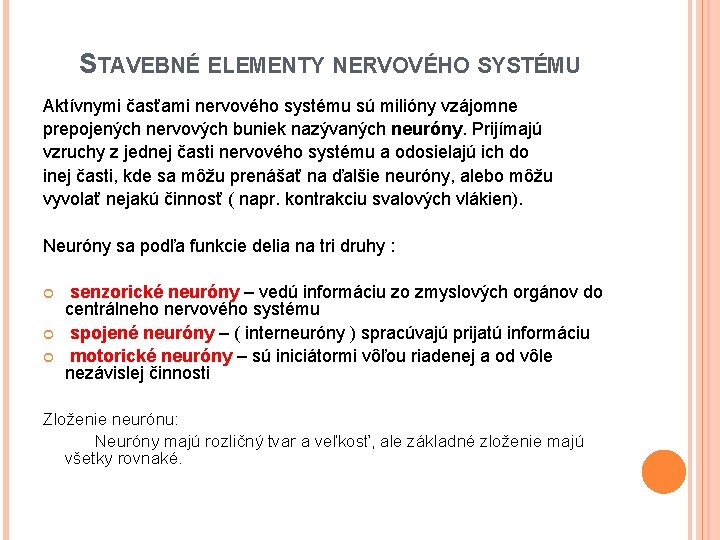 STAVEBNÉ ELEMENTY NERVOVÉHO SYSTÉMU Aktívnymi časťami nervového systému sú milióny vzájomne prepojených nervových buniek