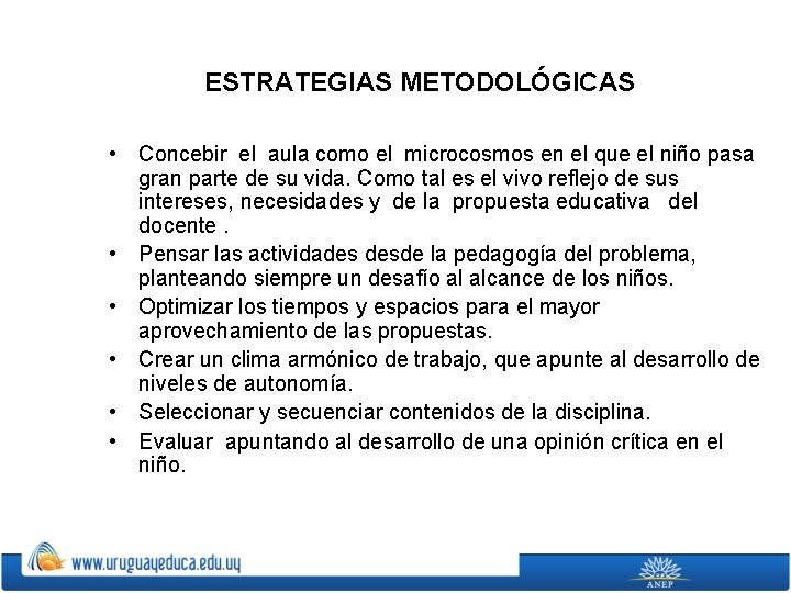 ESTRATEGIAS METODOLÓGICAS • Concebir el aula como el microcosmos en el que el niño