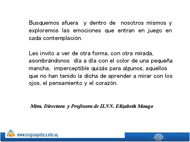 Busquemos afuera y dentro de nosotros mismos y exploremos las emociones que entran en