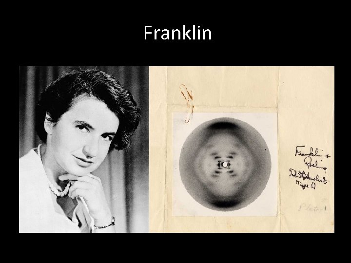 Franklin Franklin