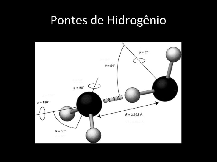 Pontes de Hidrogênio 