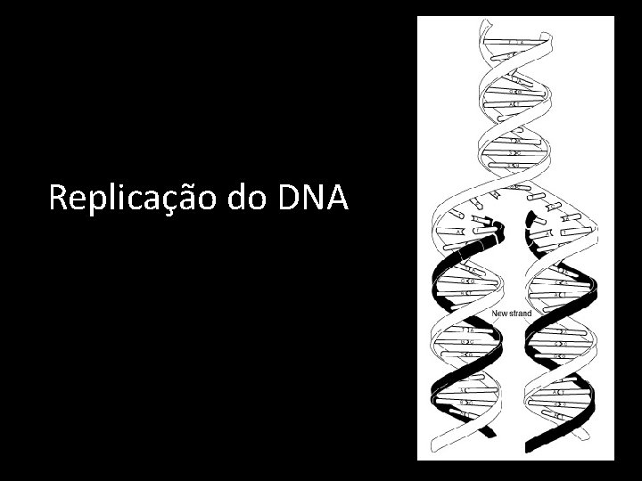 Replicação do DNA 