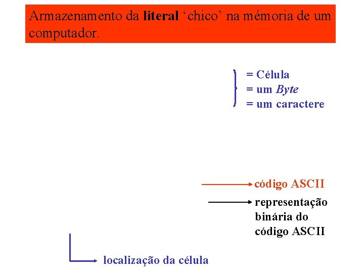 Armazenamento da literal ‘chico’ na mémoria de um computador. = Célula = um Byte