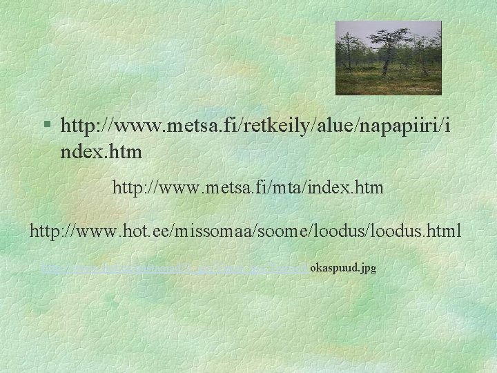 § http: //www. metsa. fi/retkeily/alue/napapiiri/i ndex. htm http: //www. metsa. fi/mta/index. htm http: //www.