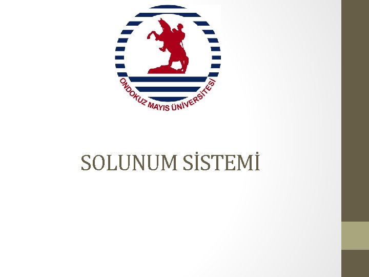 SOLUNUM SİSTEMİ 