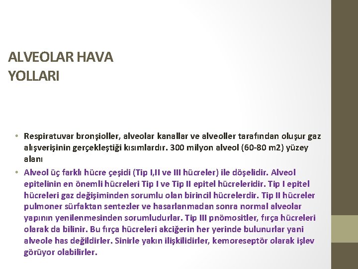 ALVEOLAR HAVA YOLLARI • Respiratuvar bronşioller, alveolar kanallar ve alveoller tarafından oluşur gaz alışverişinin