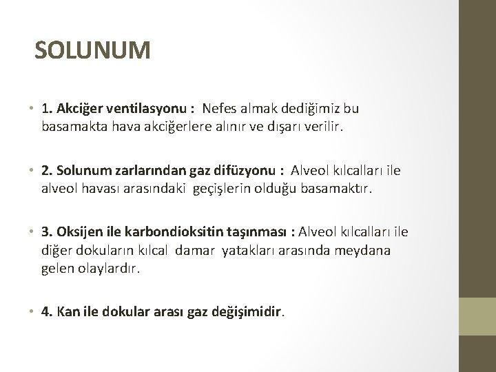 SOLUNUM • 1. Akciğer ventilasyonu : Nefes almak dediğimiz bu basamakta hava akciğerlere alınır