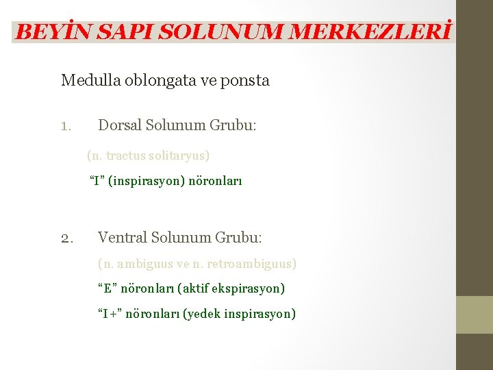 BEYİN SAPI SOLUNUM MERKEZLERİ Medulla oblongata ve ponsta 1. Dorsal Solunum Grubu: (n. tractus