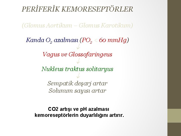 PERİFERİK KEMORESEPTÖRLER (Glomus Aortikum – Glomus Karotikum) Kanda O 2 azalması (PO 2 <