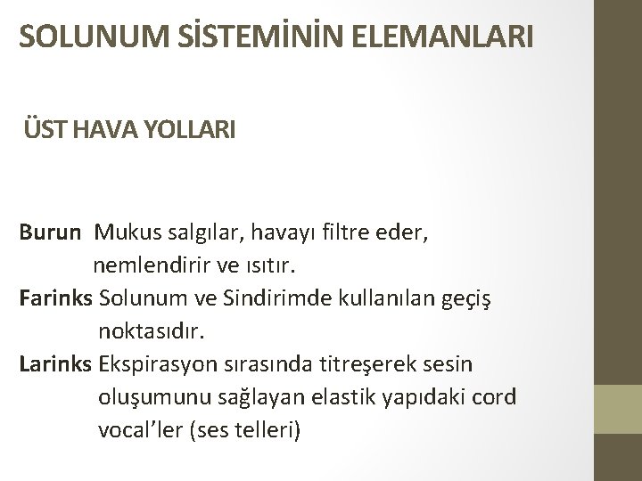 SOLUNUM SİSTEMİNİN ELEMANLARI ÜST HAVA YOLLARI Burun Mukus salgılar, havayı filtre eder, nemlendirir ve