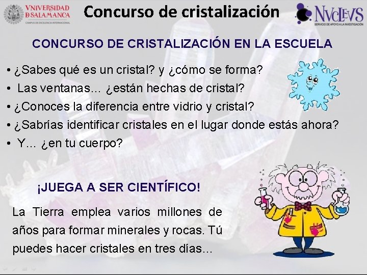 Concurso de cristalización CONCURSO DE CRISTALIZACIÓN EN LA ESCUELA • ¿Sabes qué es un