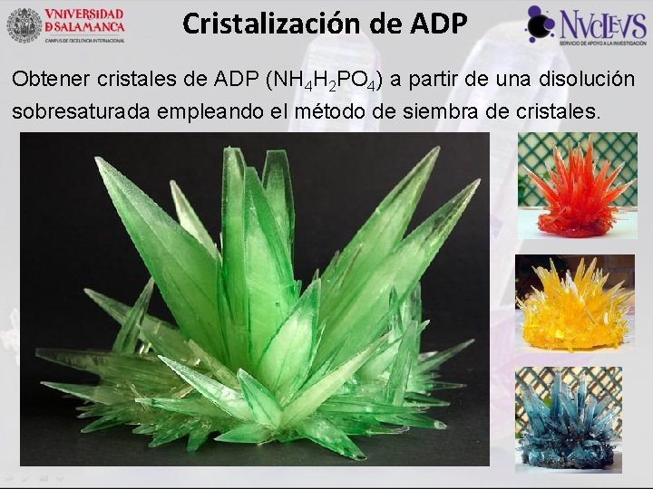 Cristalización de ADP Obtener cristales de ADP (NH 4 H 2 PO 4) a