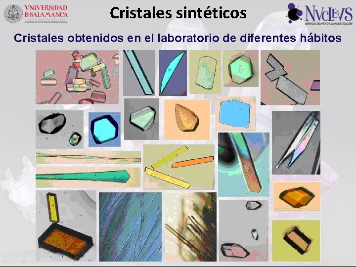 Cristales sintéticos Cristales obtenidos en el laboratorio de diferentes hábitos 