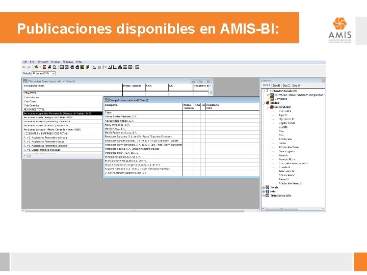 Publicaciones disponibles en AMIS-BI: 