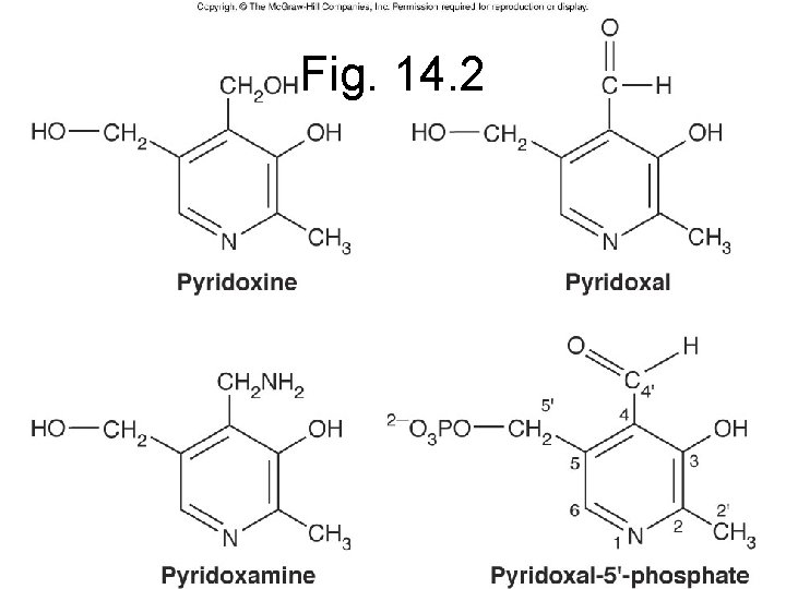 Fig. 14. 2 