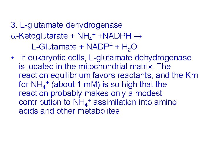 3. L-glutamate dehydrogenase -Ketoglutarate + NH 4+ +NADPH → L-Glutamate + NADP+ + H