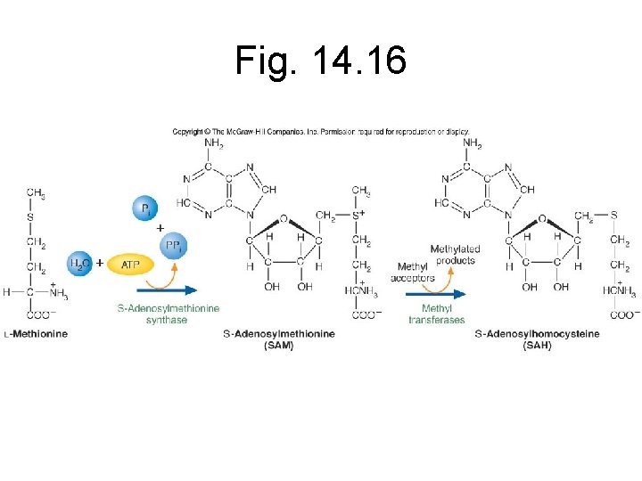 Fig. 14. 16 