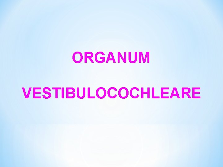 ORGANUM VESTIBULOCOCHLEARE 