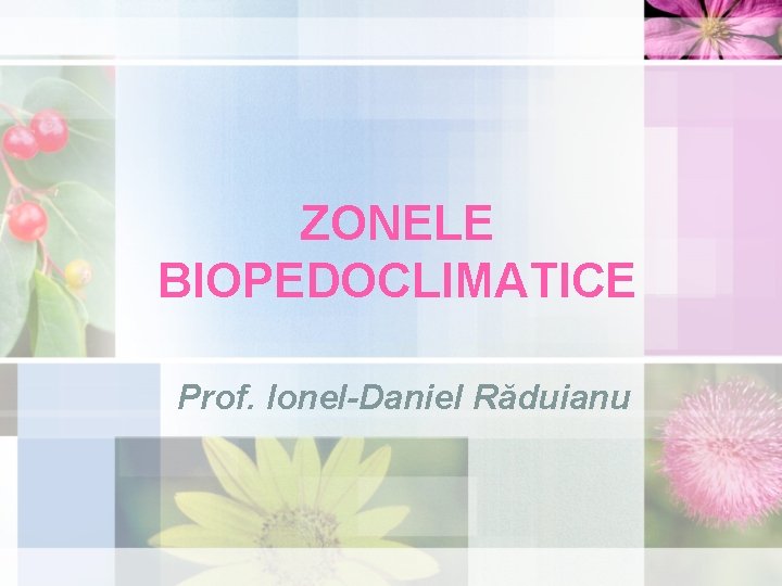 ZONELE BIOPEDOCLIMATICE Prof. Ionel-Daniel Răduianu 