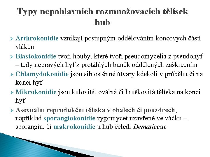 Typy nepohlavních rozmnožovacích tělísek hub Arthrokonidie vznikají postupným oddělováním koncových částí vláken Ø Blastokonidie