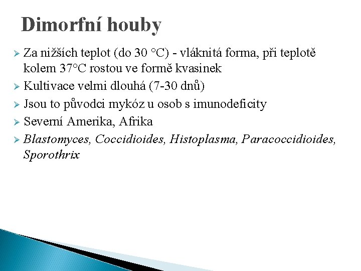 Dimorfní houby Za nižších teplot (do 30 °C) - vláknitá forma, při teplotě kolem